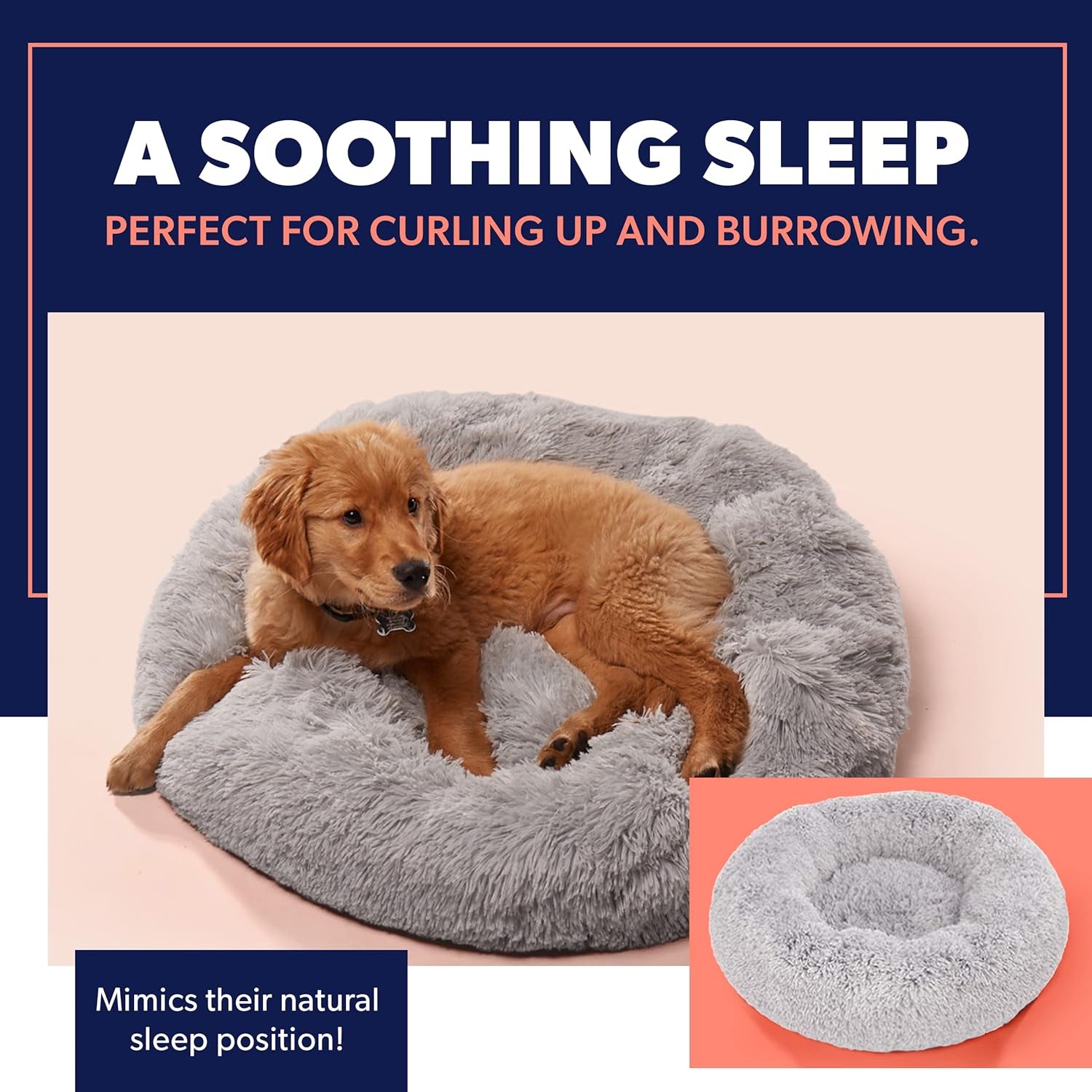 Premium Dog Beds for Large Dogs and Medium Dogs - Portable Dog Beds & Furniture - Fits up to 45 Lbs, (Medium, Dark Grey)