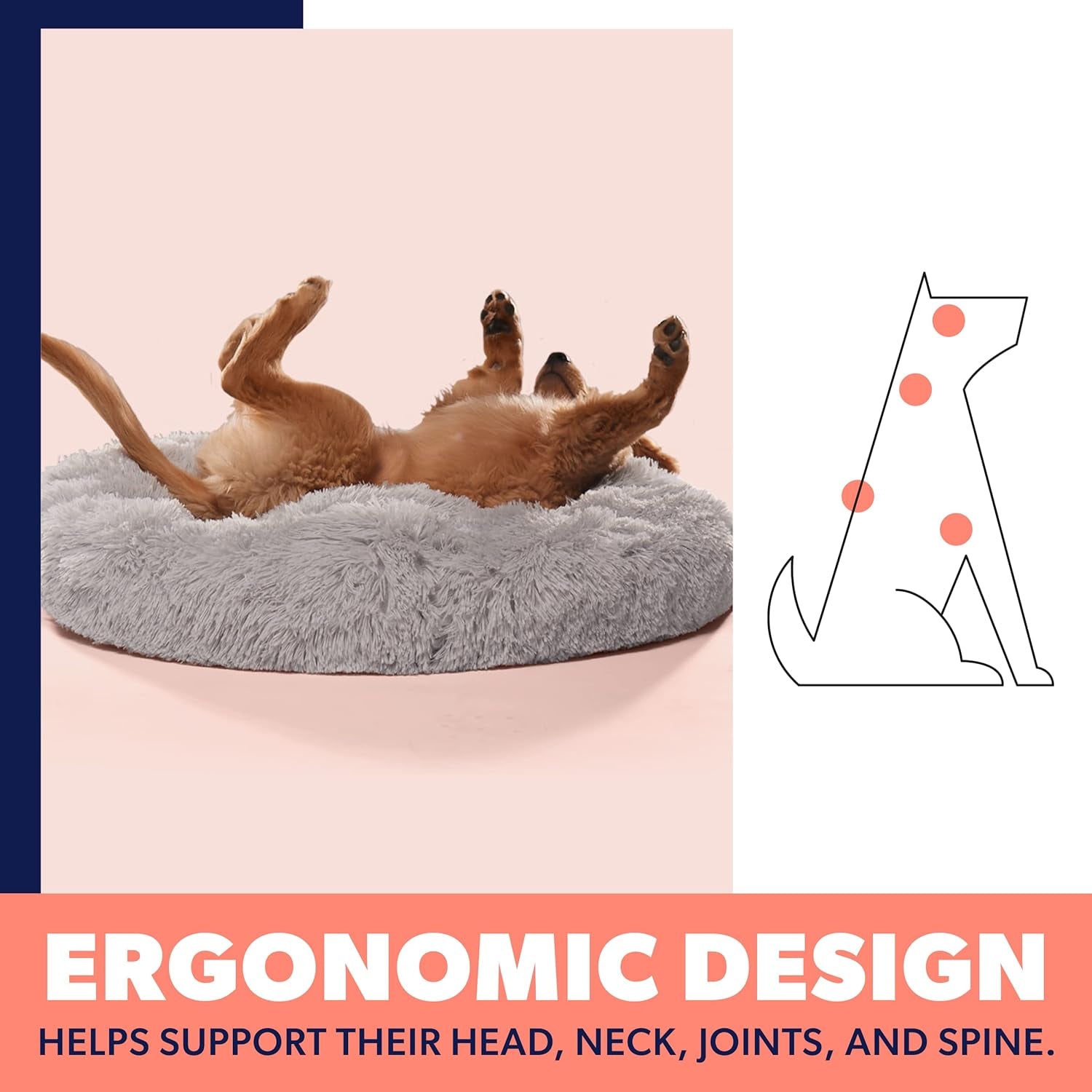 Premium Dog Beds for Large Dogs and Medium Dogs - Portable Dog Beds & Furniture - Fits up to 45 Lbs, (Medium, Dark Grey)
